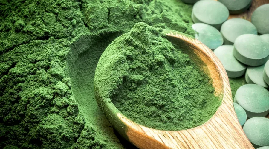 Mikroalgen bieten ein grosses Potenzial als nachhaltige Proteinquelle für Lebensmittel und Futtermittel